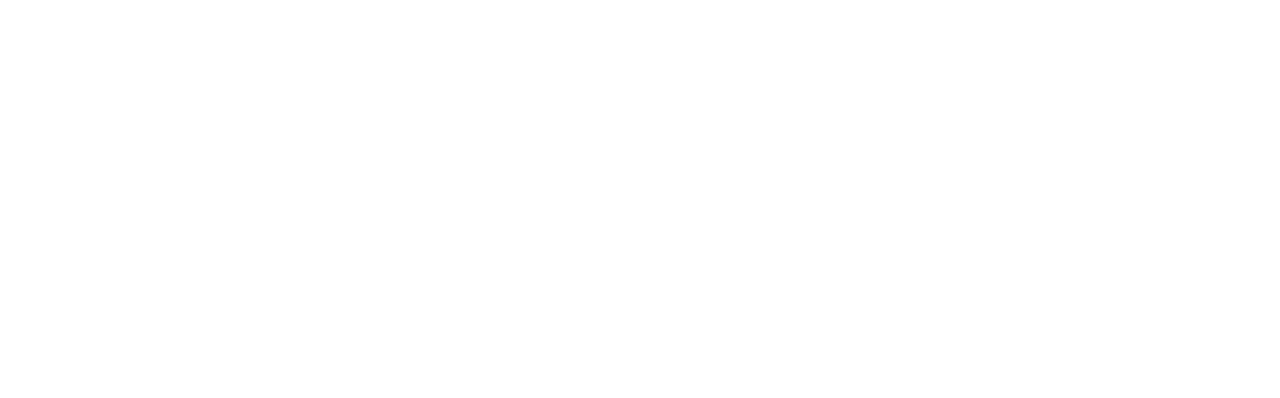 Wellfirst Solutions Logo